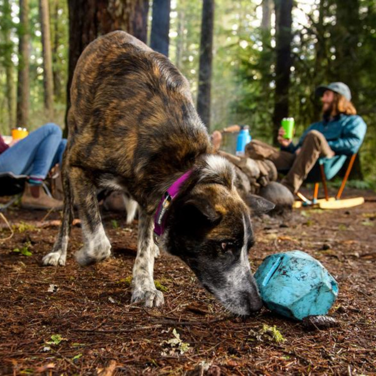 Ruffwear Gnawt-a-Rock Dog Toy - Image 3